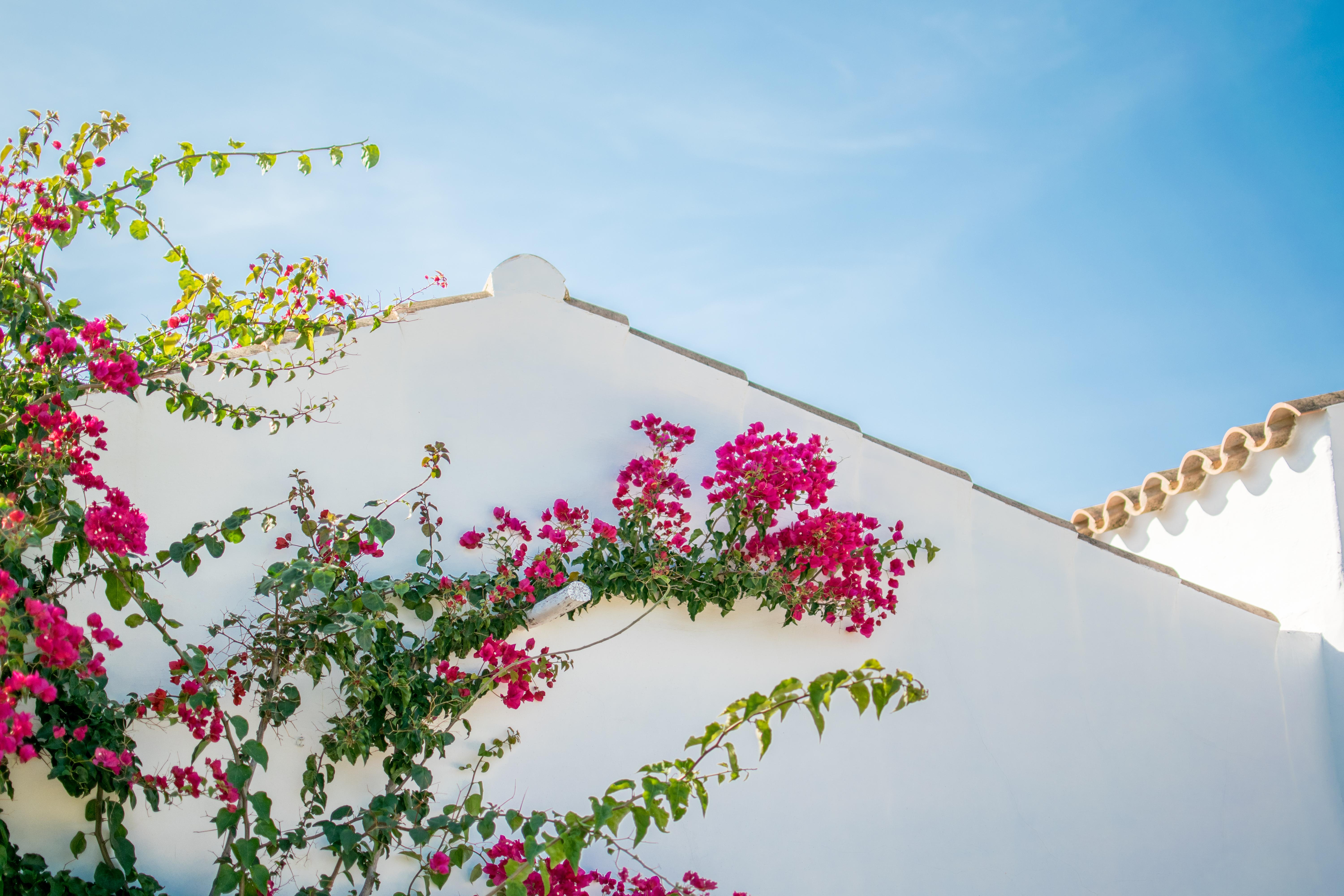 Torralbenc, A Small Luxury Hotel Of The World Cala En Porter  Exterior foto